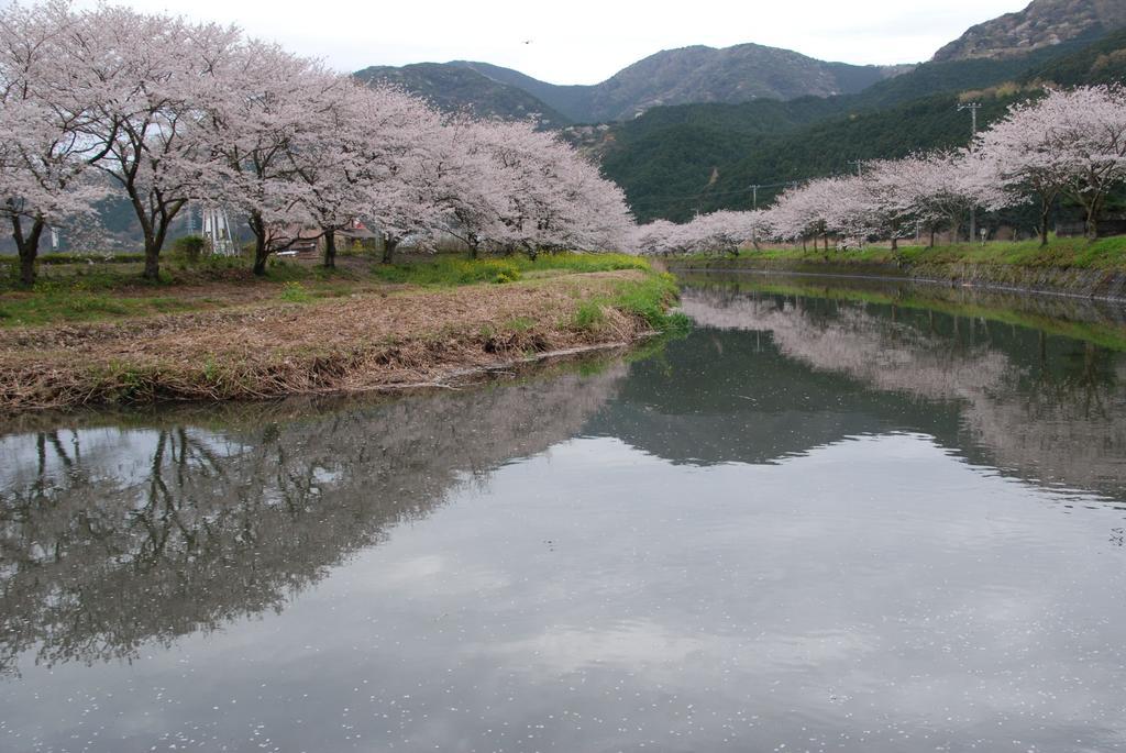 ゲストハウス・ イトカワ 松崎町 エクステリア 写真