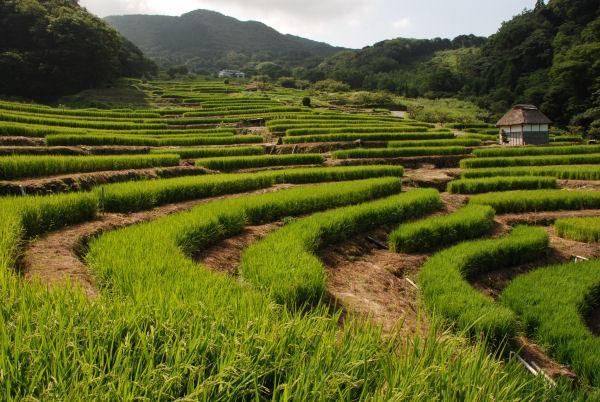 ゲストハウス・ イトカワ 松崎町 エクステリア 写真