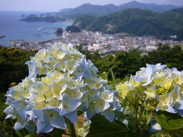 ゲストハウス・ イトカワ 松崎町 エクステリア 写真